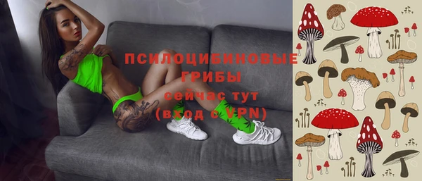 эйфоретик Алексеевка
