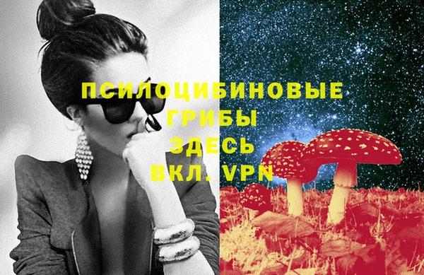 эйфоретик Алексеевка