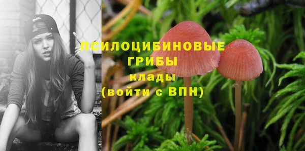 эйфоретик Алексеевка