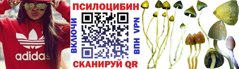 Купить  Биробиджан  Псилоцибиновые грибы Psilocybe 